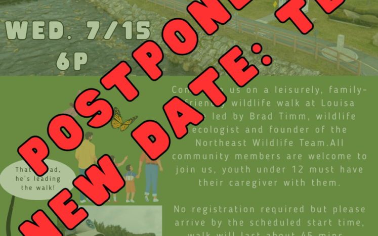 postponed